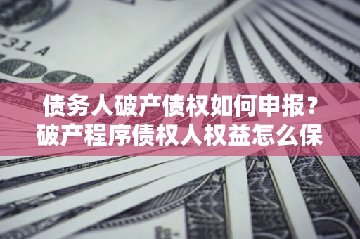 北京债务人破产债权如何申报？破产程序债权人权益怎么保障？