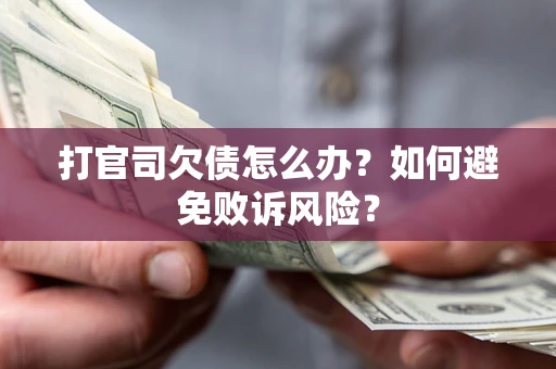 北京打官司欠债怎么办？如何避免败诉风险？
