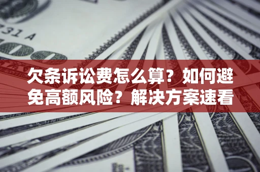 北京欠条诉讼费怎么算？如何避免高额风险？解决方案速看！