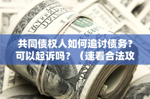 北京共同债权人如何追讨债务？可以起诉吗？（速看合法攻略）