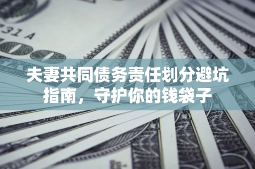 北京夫妻共同债务责任划分避坑指南，守护你的钱袋子