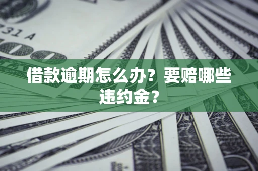 北京借款逾期怎么办？要赔哪些违约金？